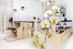 Sonja Rose Pilates Bremen